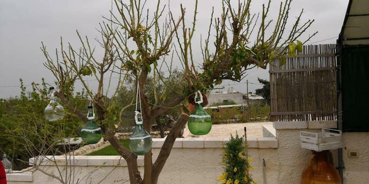 Trullo Le Tre Sorelle Landhaus Cisternino
